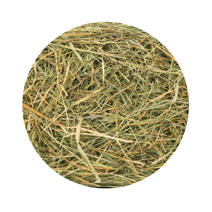 Heno roedores pet cup 1k - Imagen 2