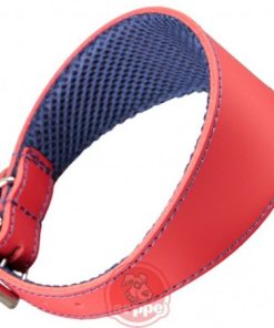 COLLAR GALGO AMAZONE T.45