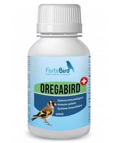 Oregabird Fortebird
