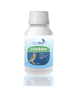 Coxbird - Fortebird  -  COCCIDIOS
